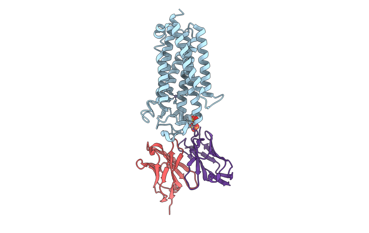 5LXG image