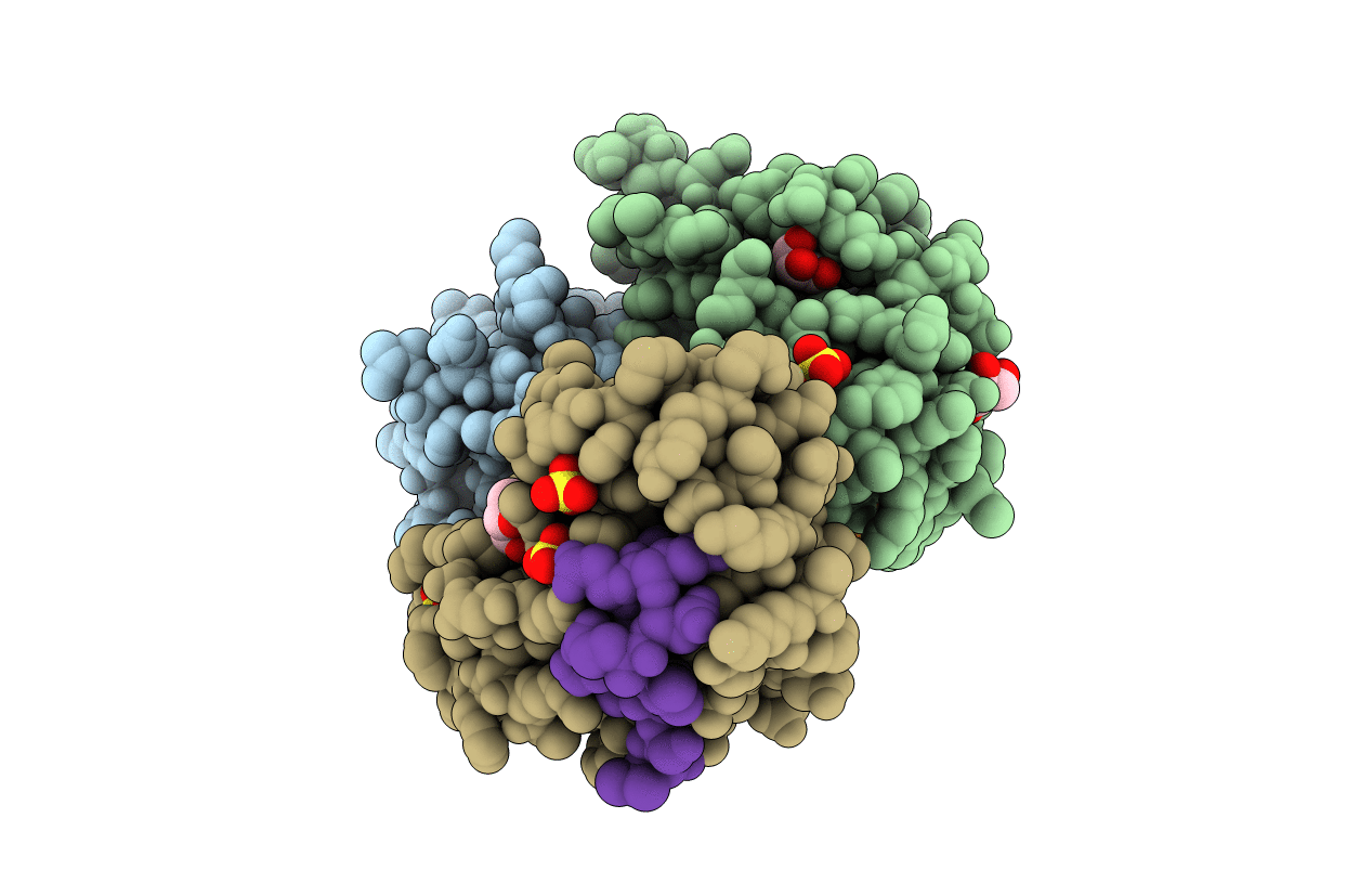 5LXH image