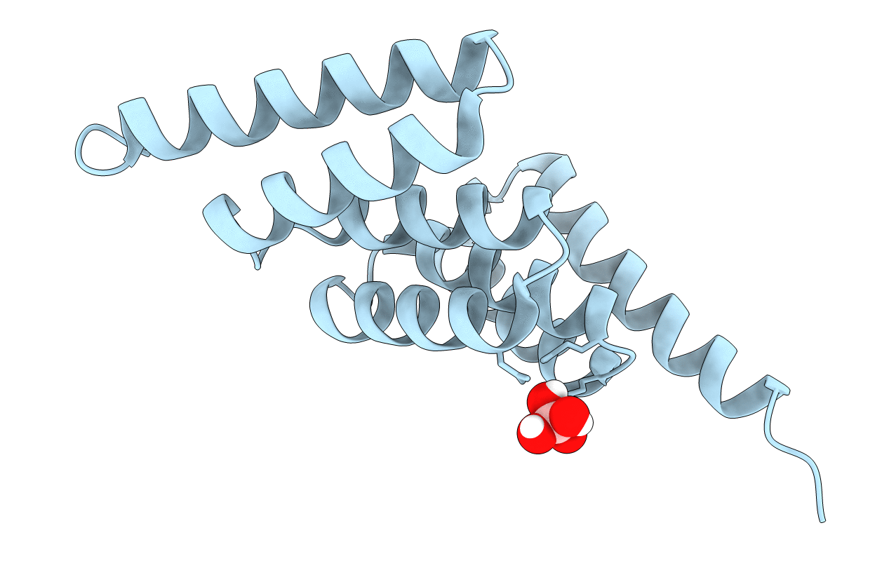 5LYP image