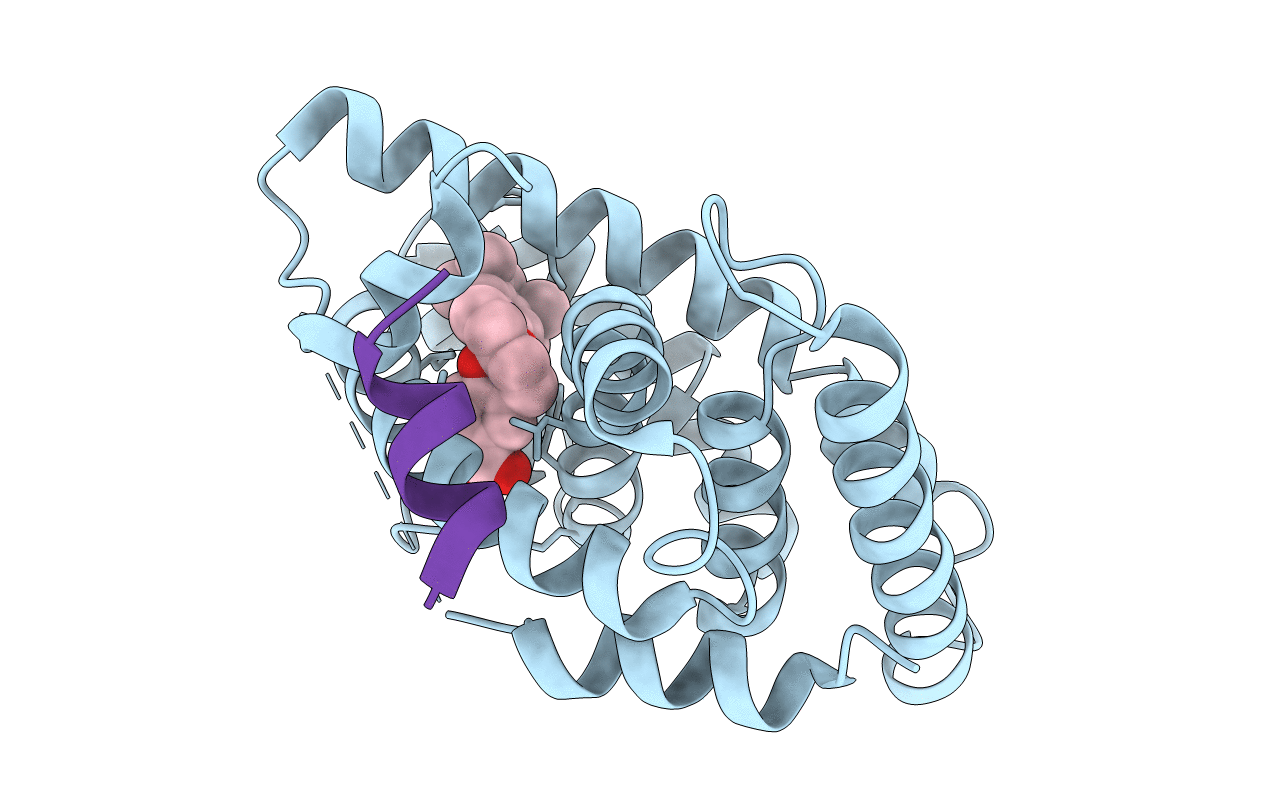 5LYQ image