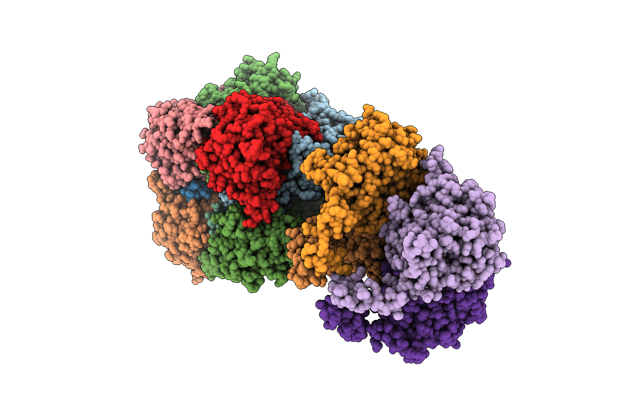 5LZL image