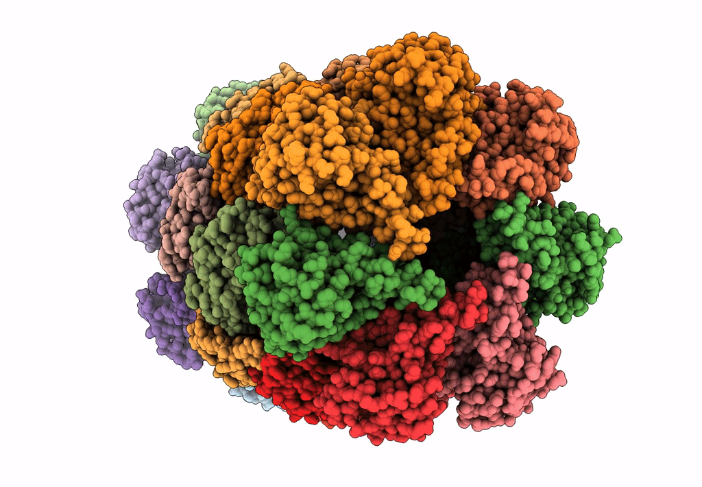 5LZP image