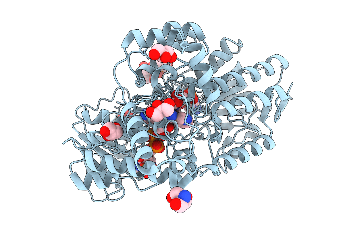 5M10 image