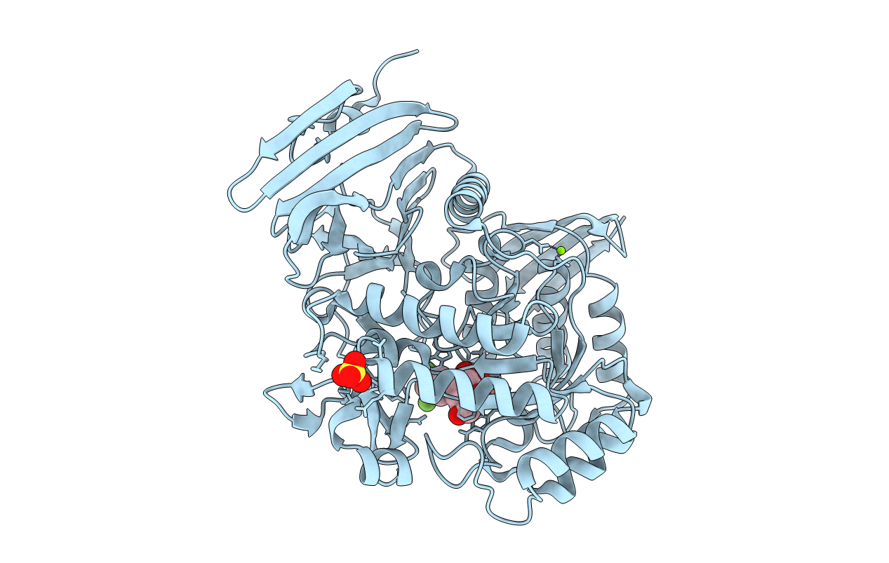 5M12 image