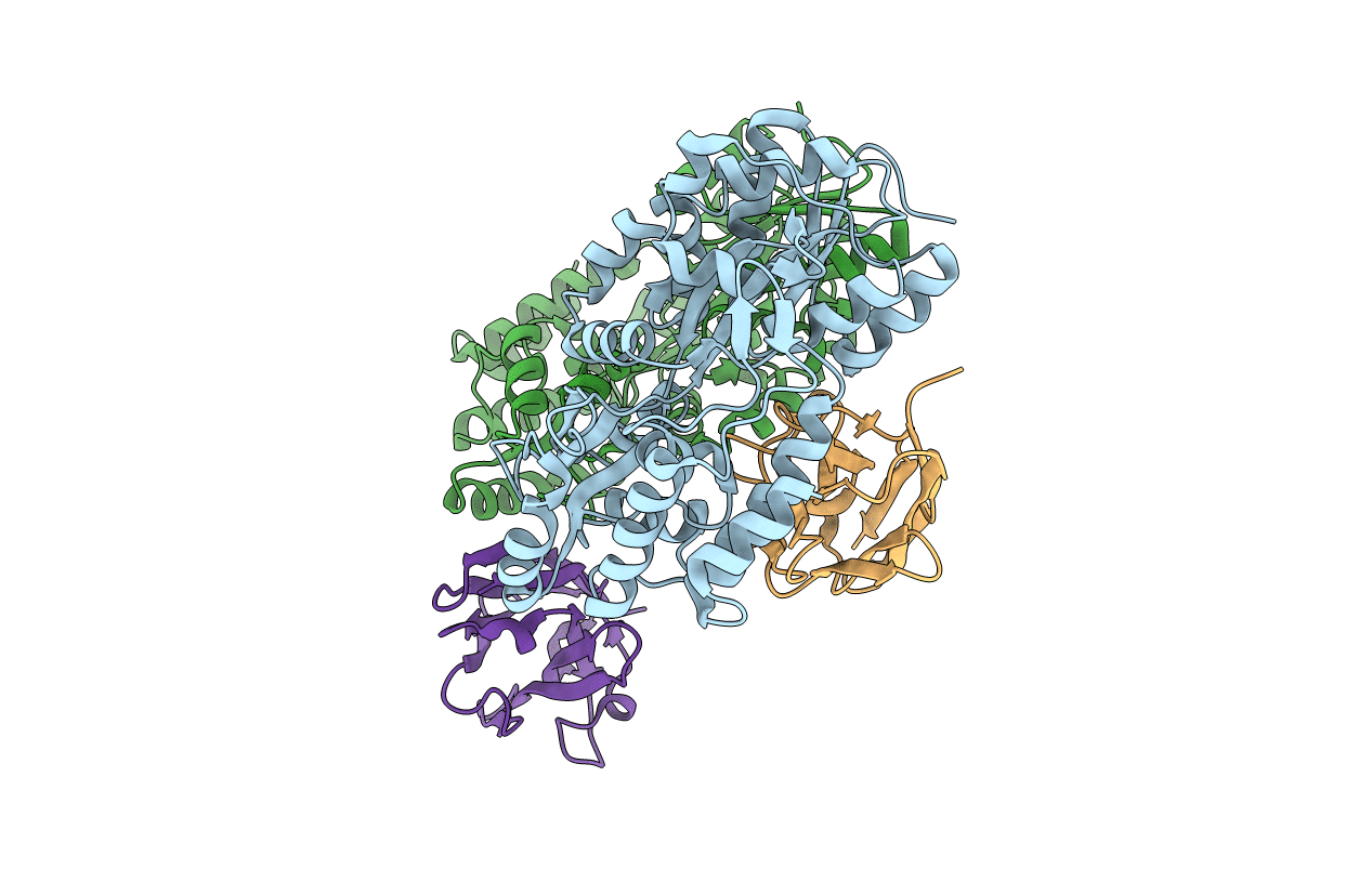 5M15 image