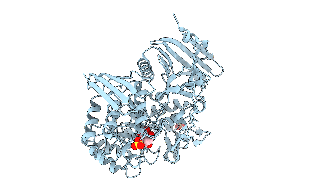 5M16 image