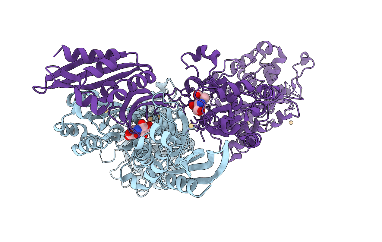 5M19 image