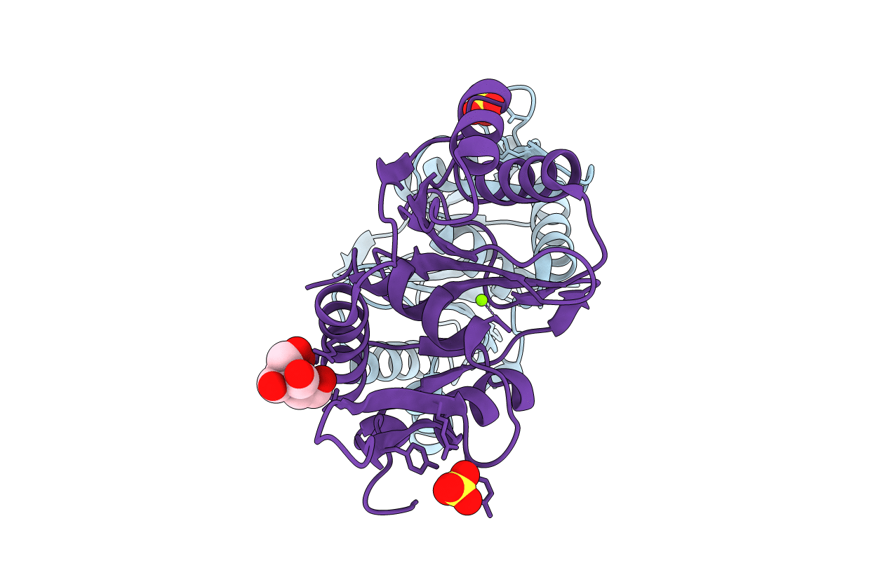 5M1K image