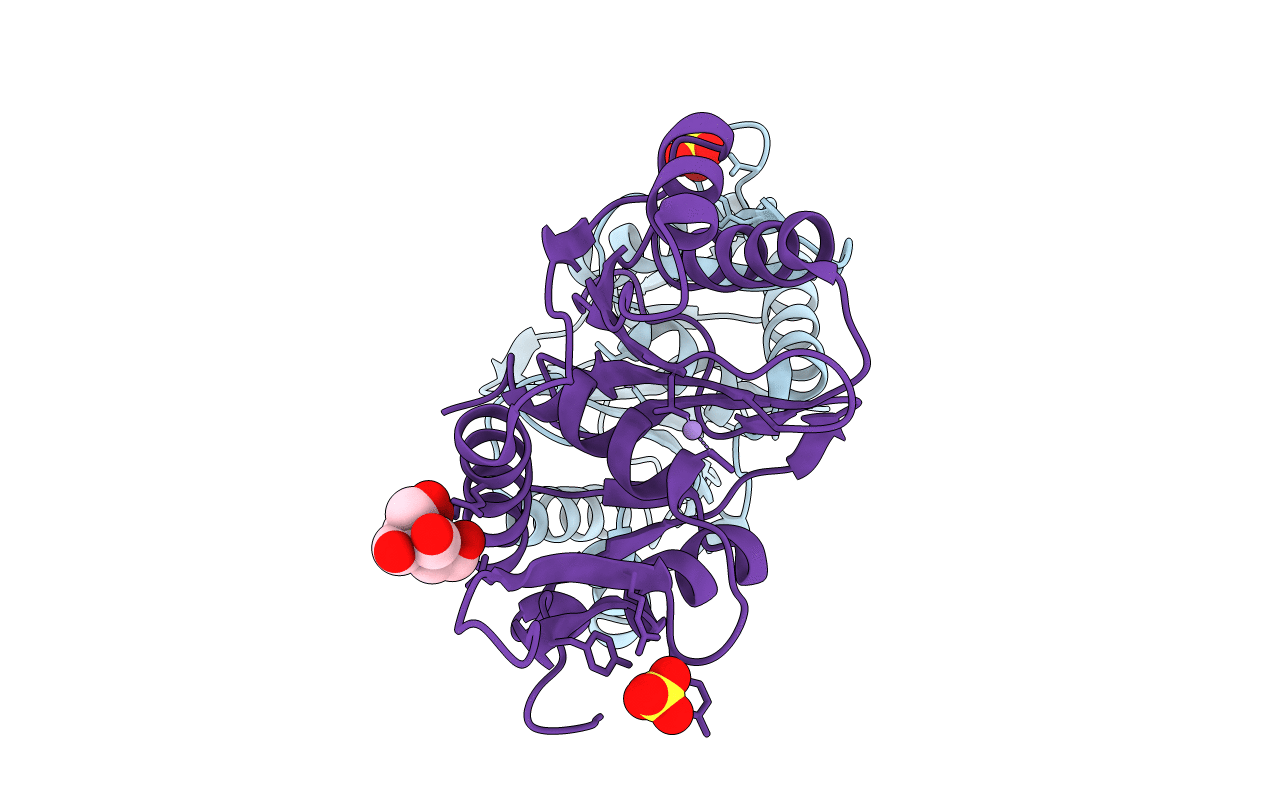 5M1N image