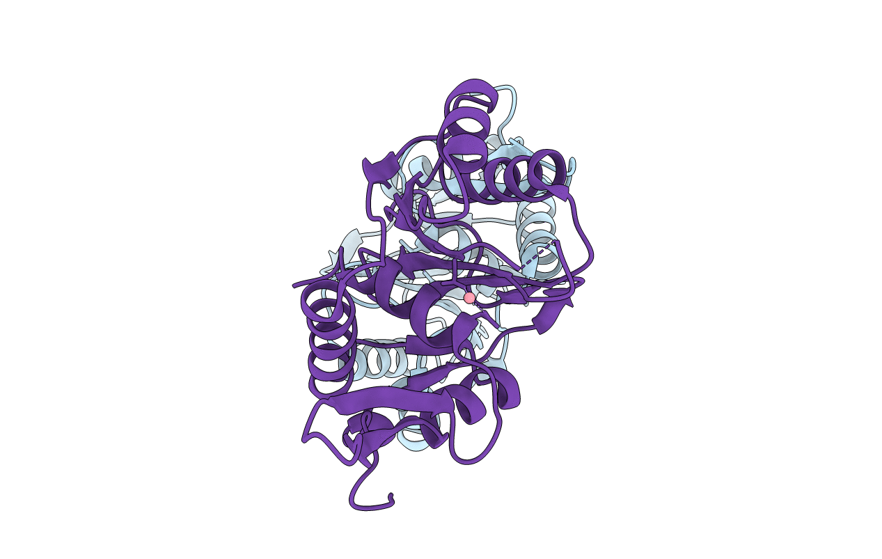 5M1O image