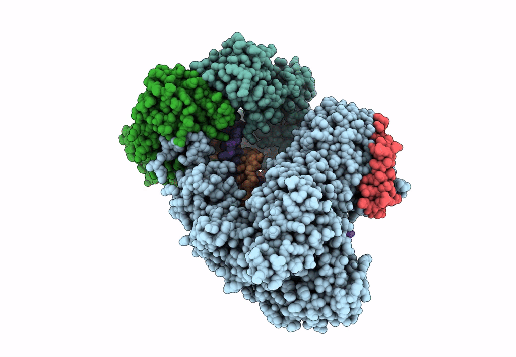 5M1S image