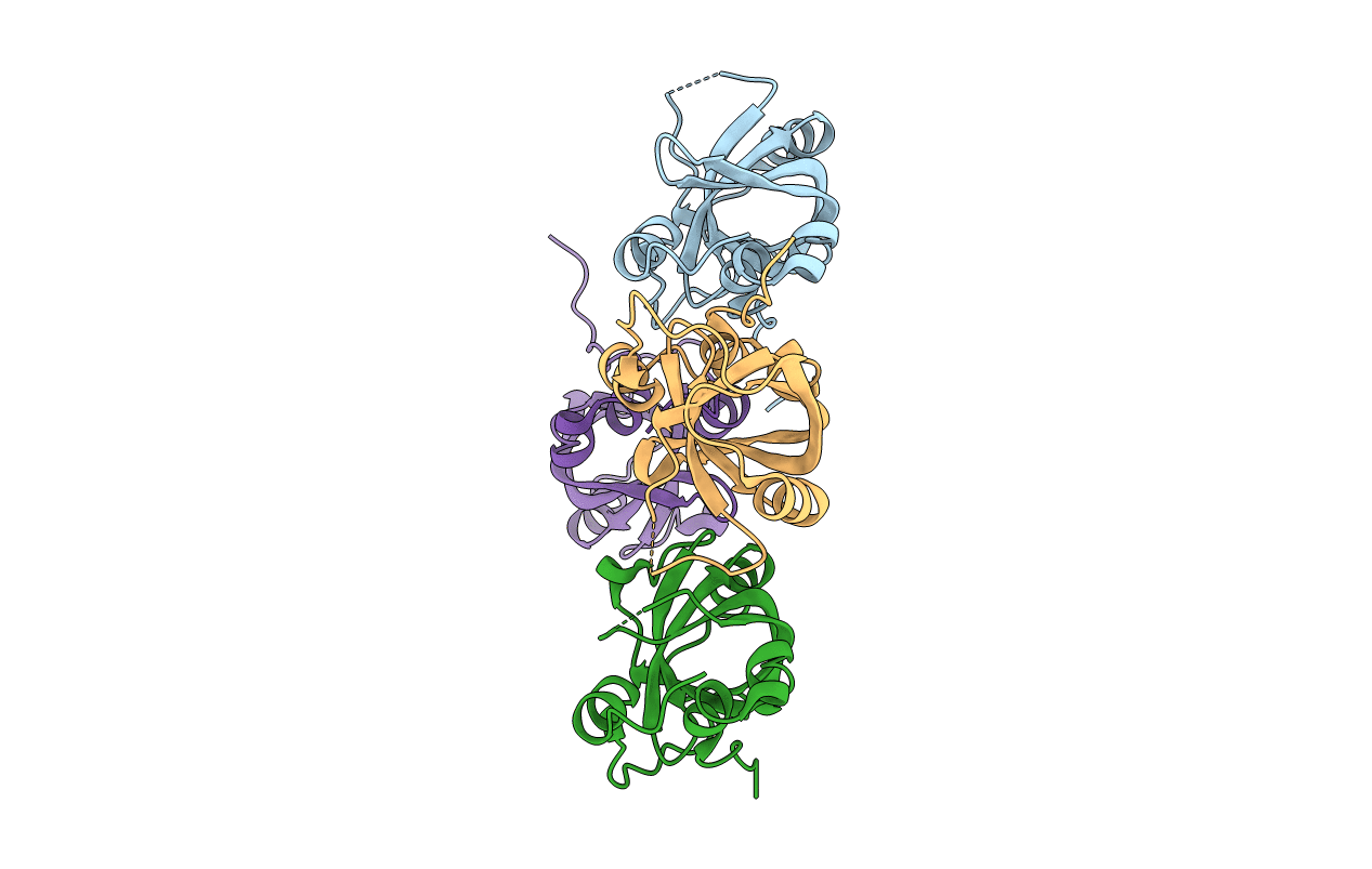 5M1X image