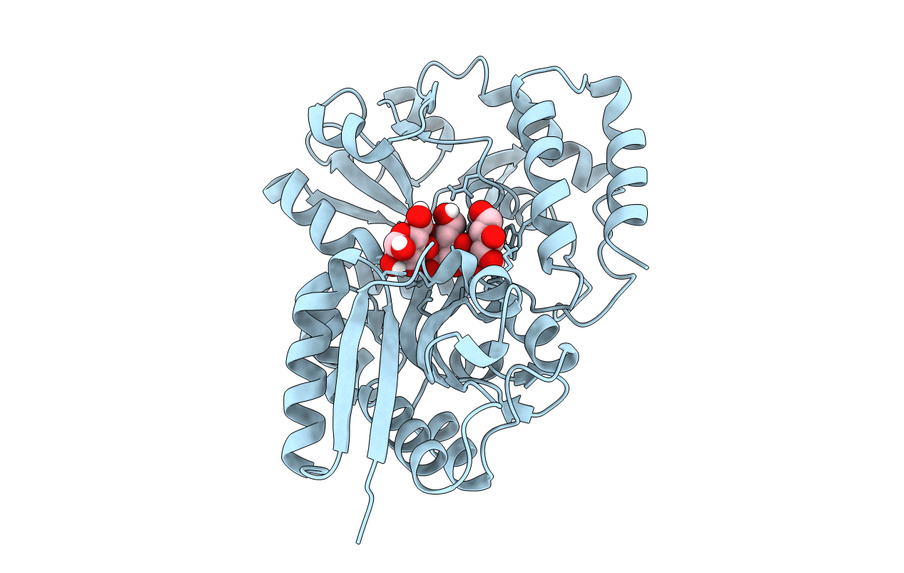 5M28 image