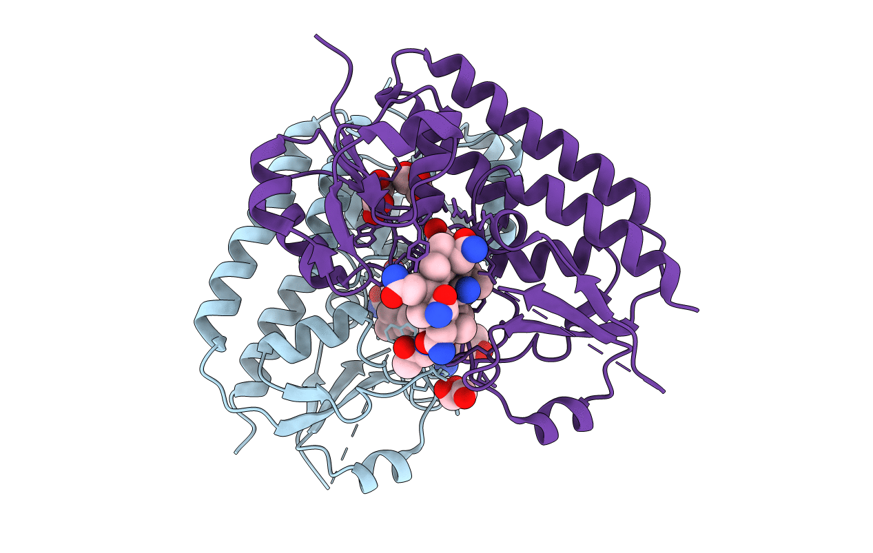 5M29 image
