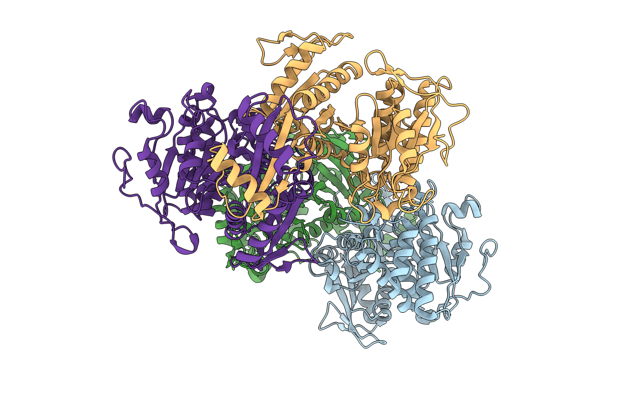 5M2E image