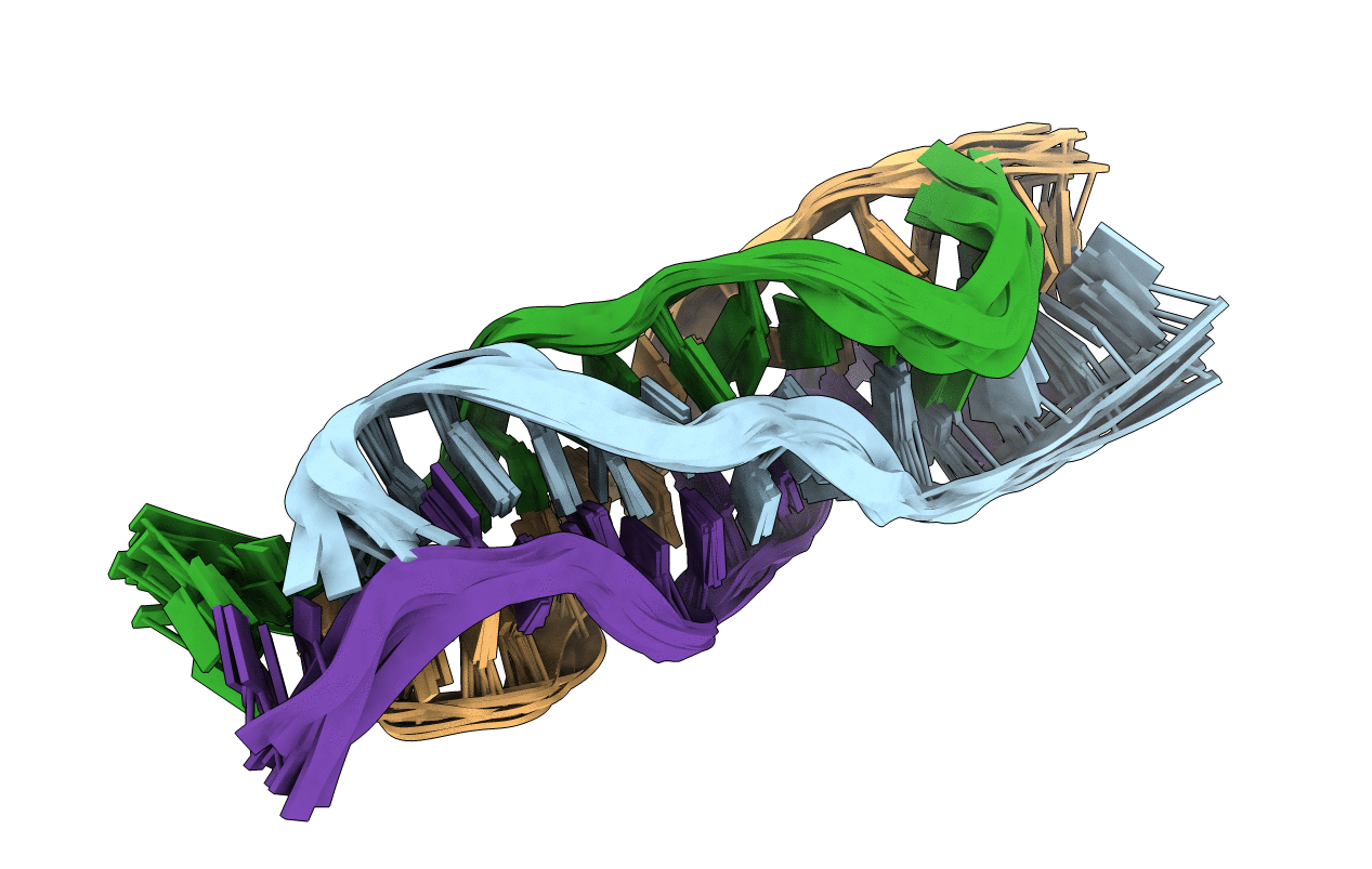 5M2L image