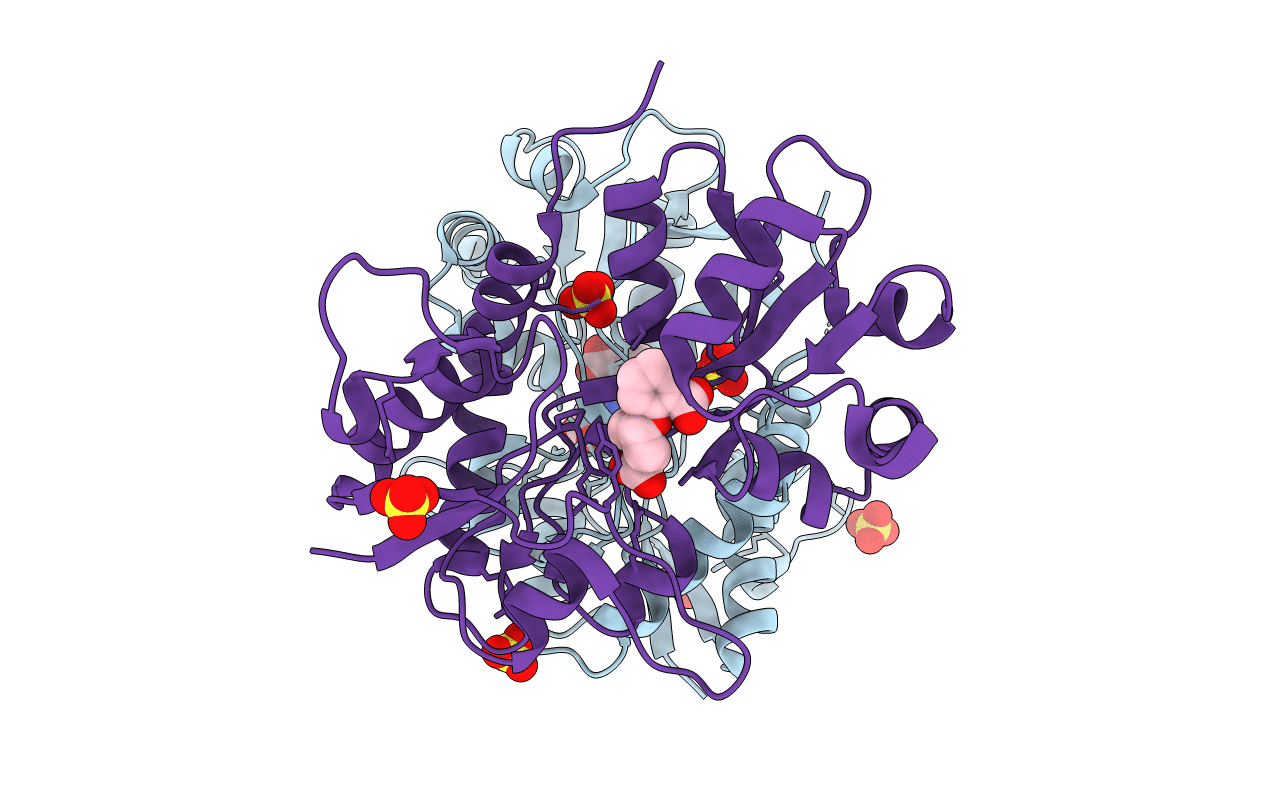 5M2V image