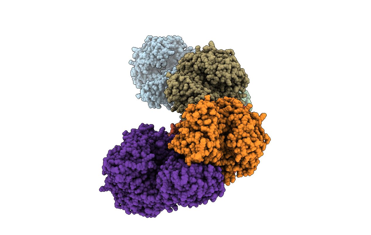 5M2X image