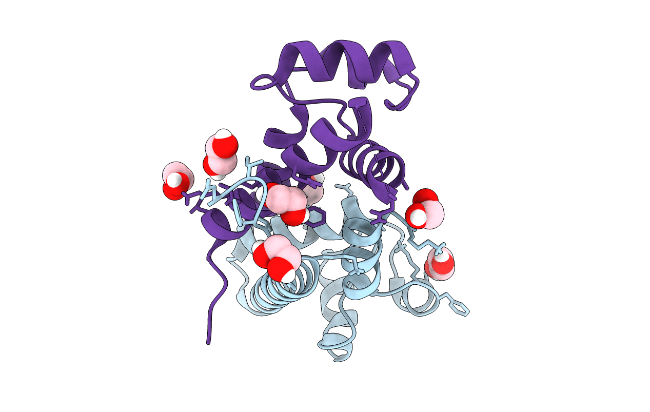 5M33 image