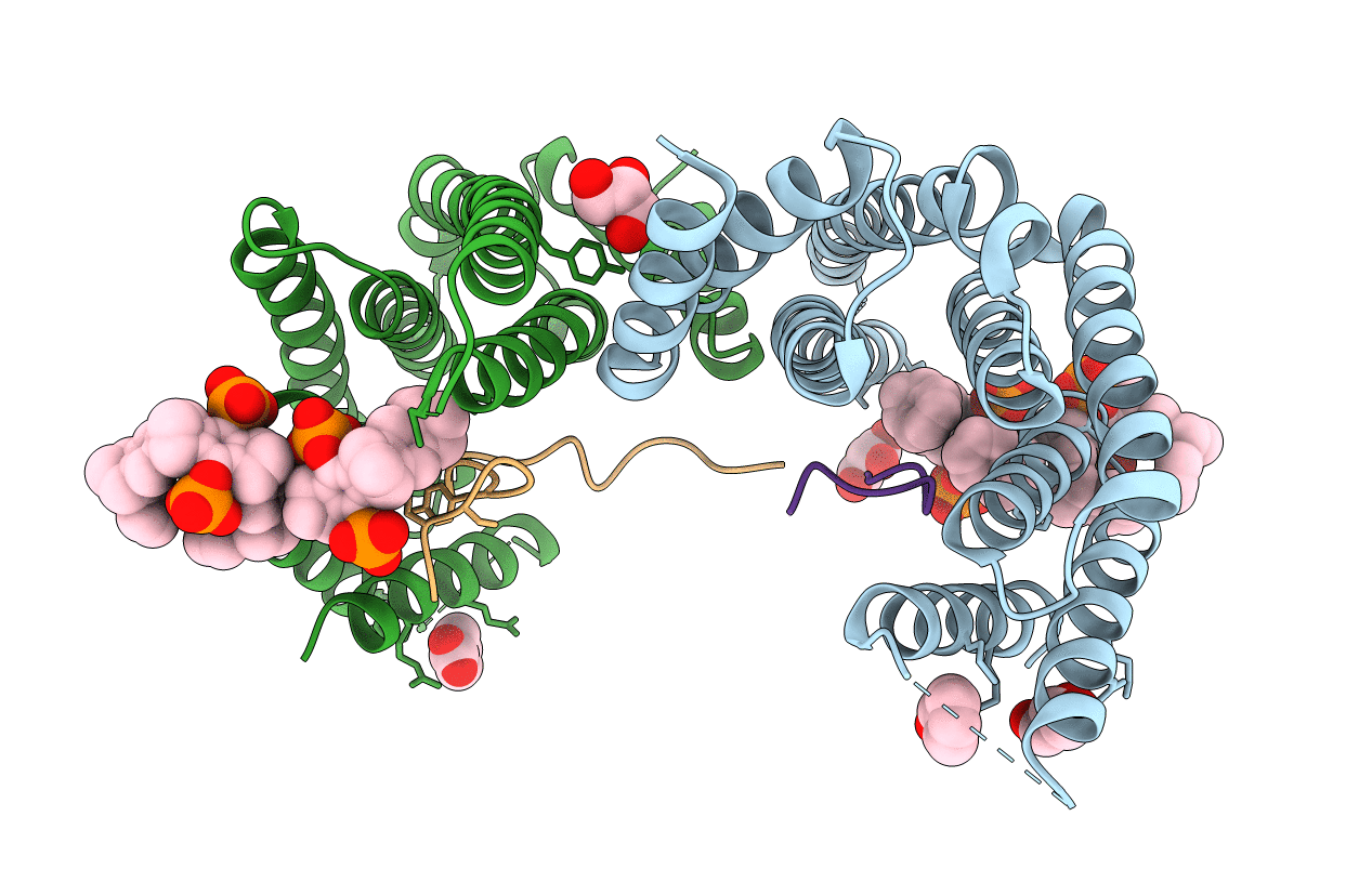 5M36 image