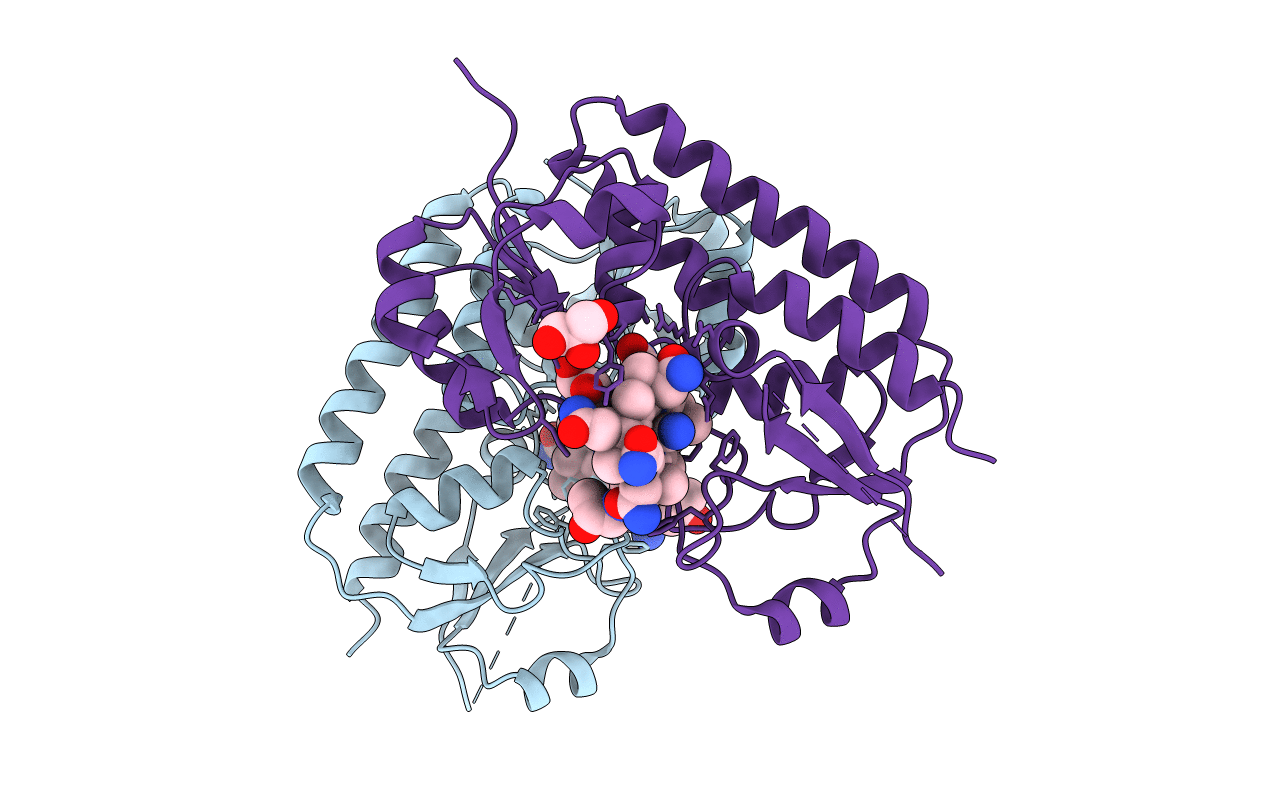5M3B image