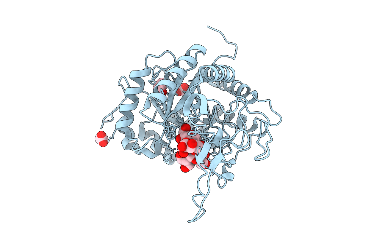 5M3W image