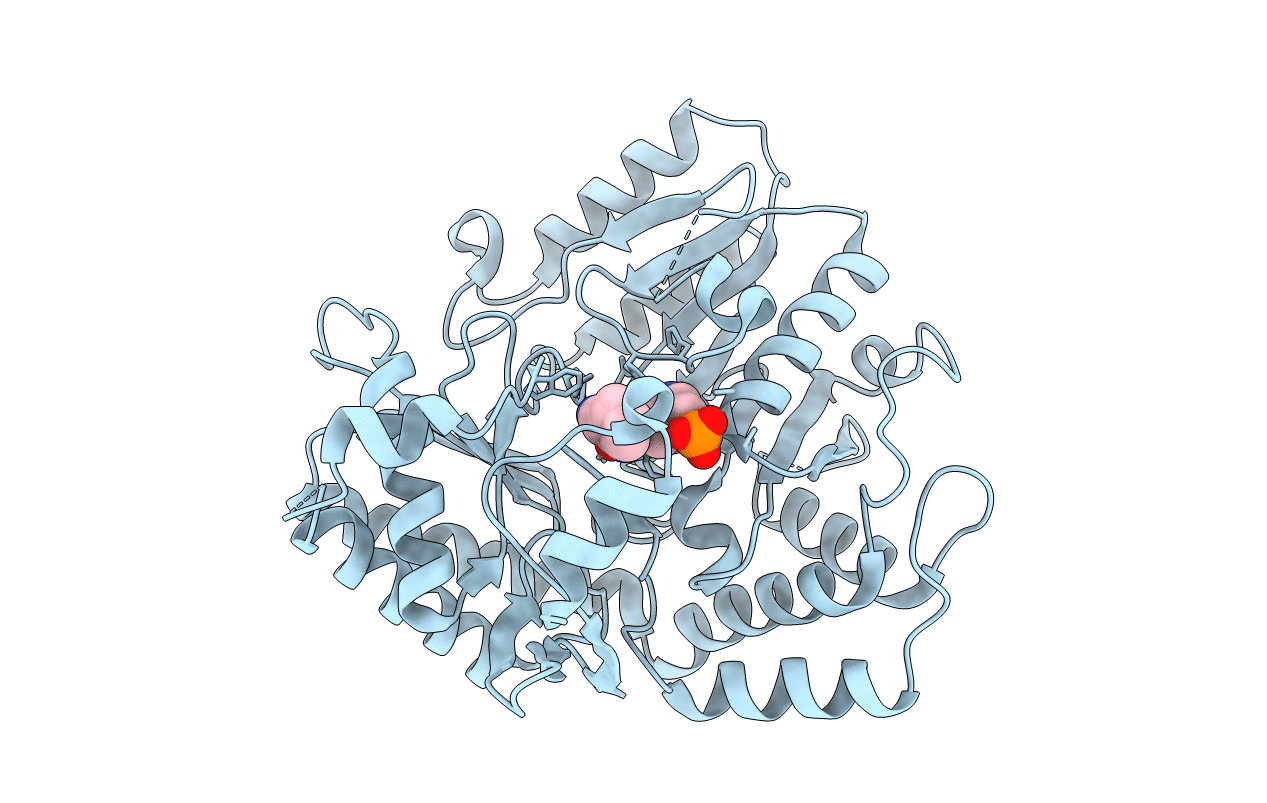5M49 image