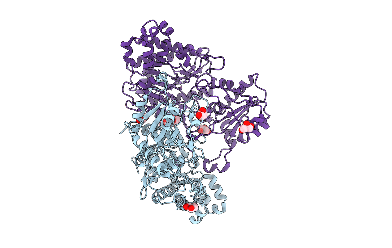 5M4G image
