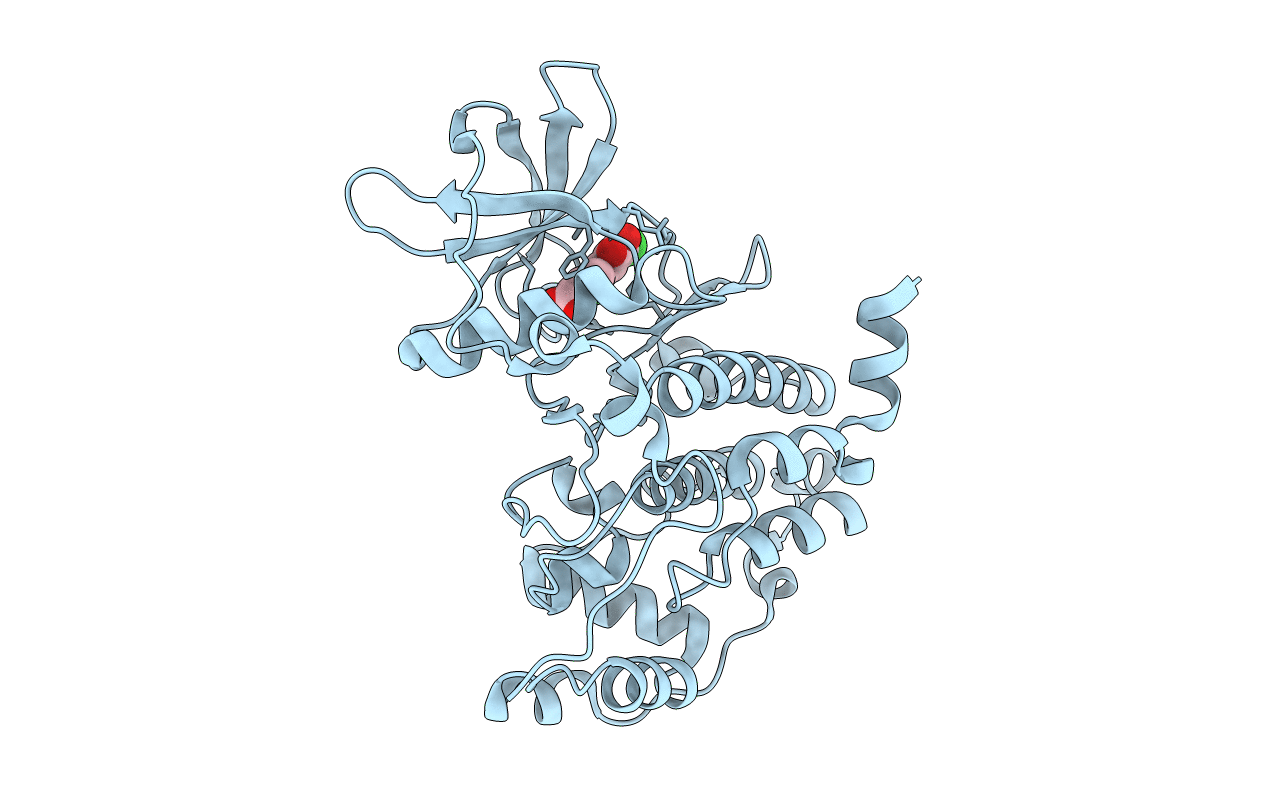 5M4I image