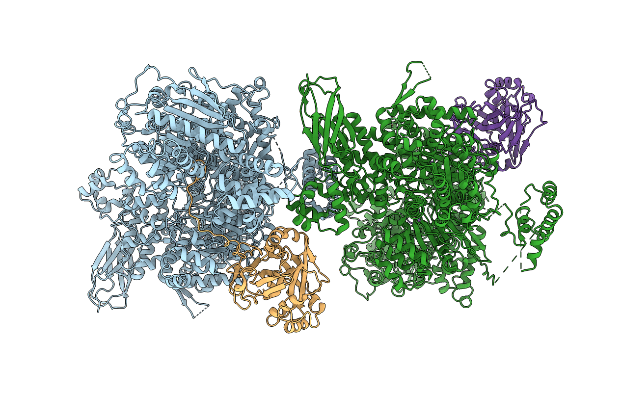 5M52 image