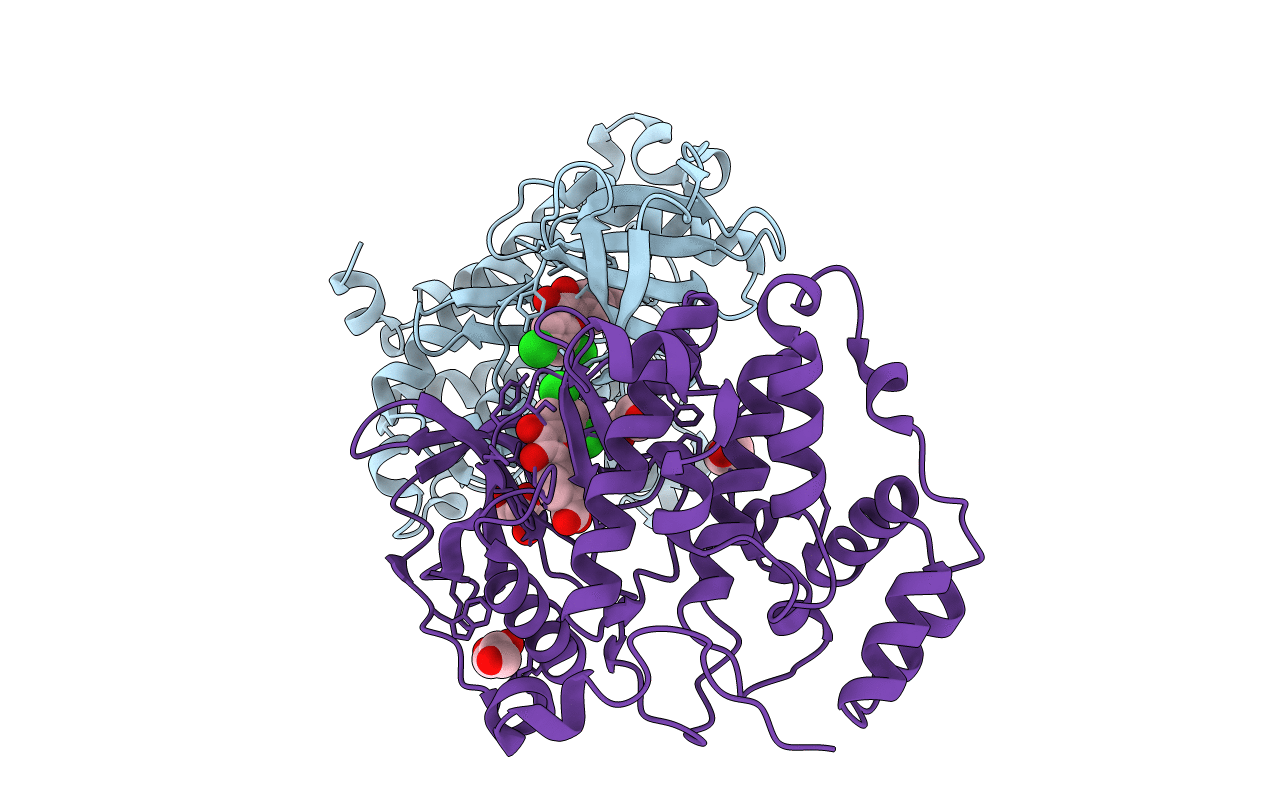 5m56 image