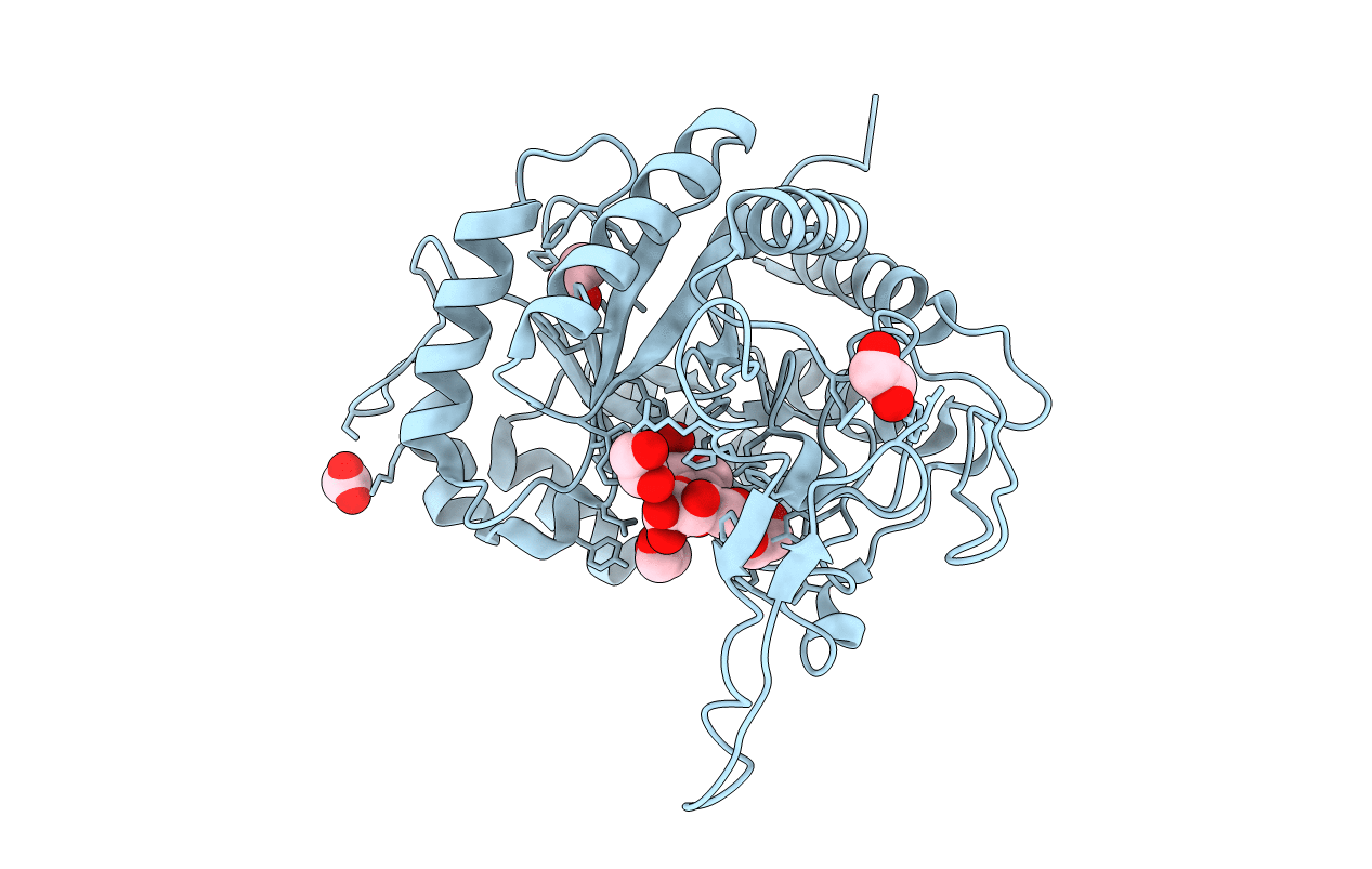 5M5D image