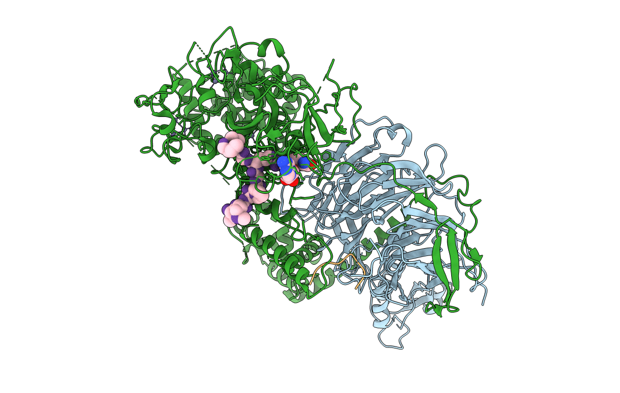 5M5G image