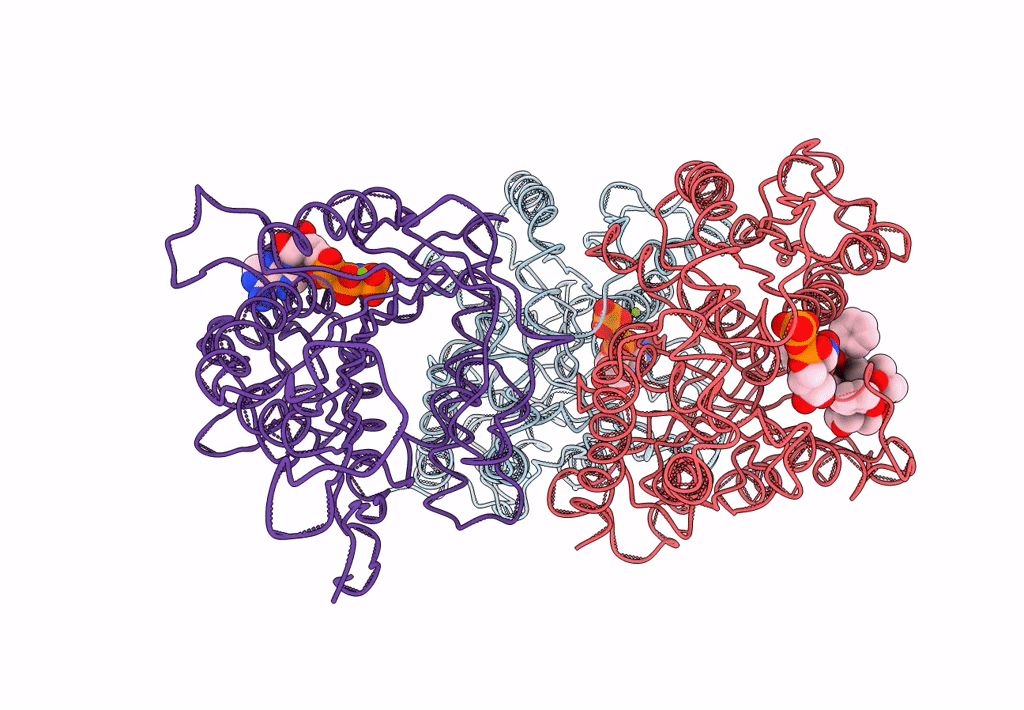 5M5I image