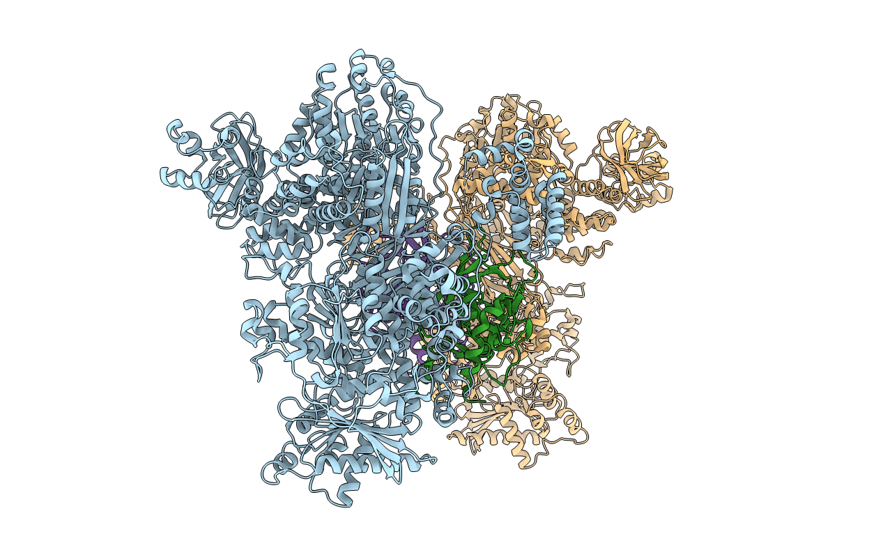 5M5P image