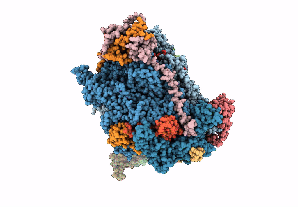 5M5W image