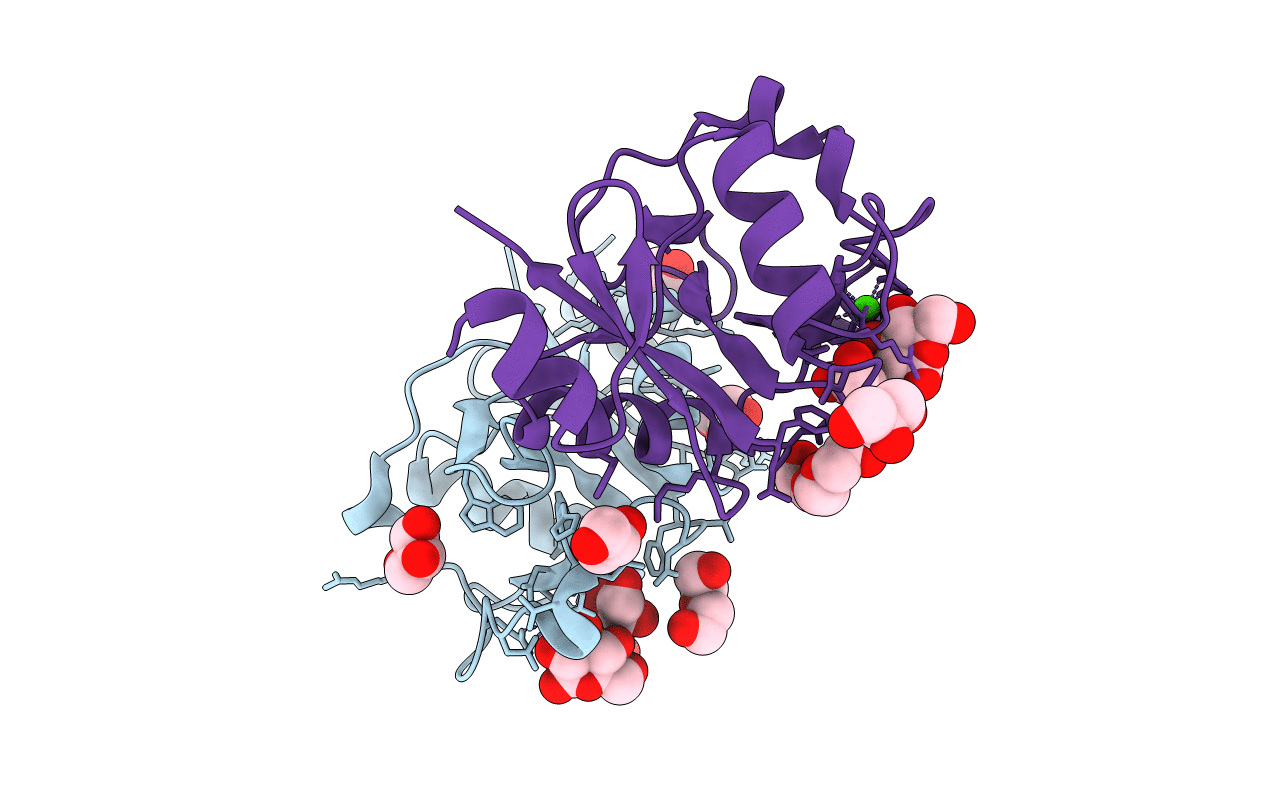 5M62 image
