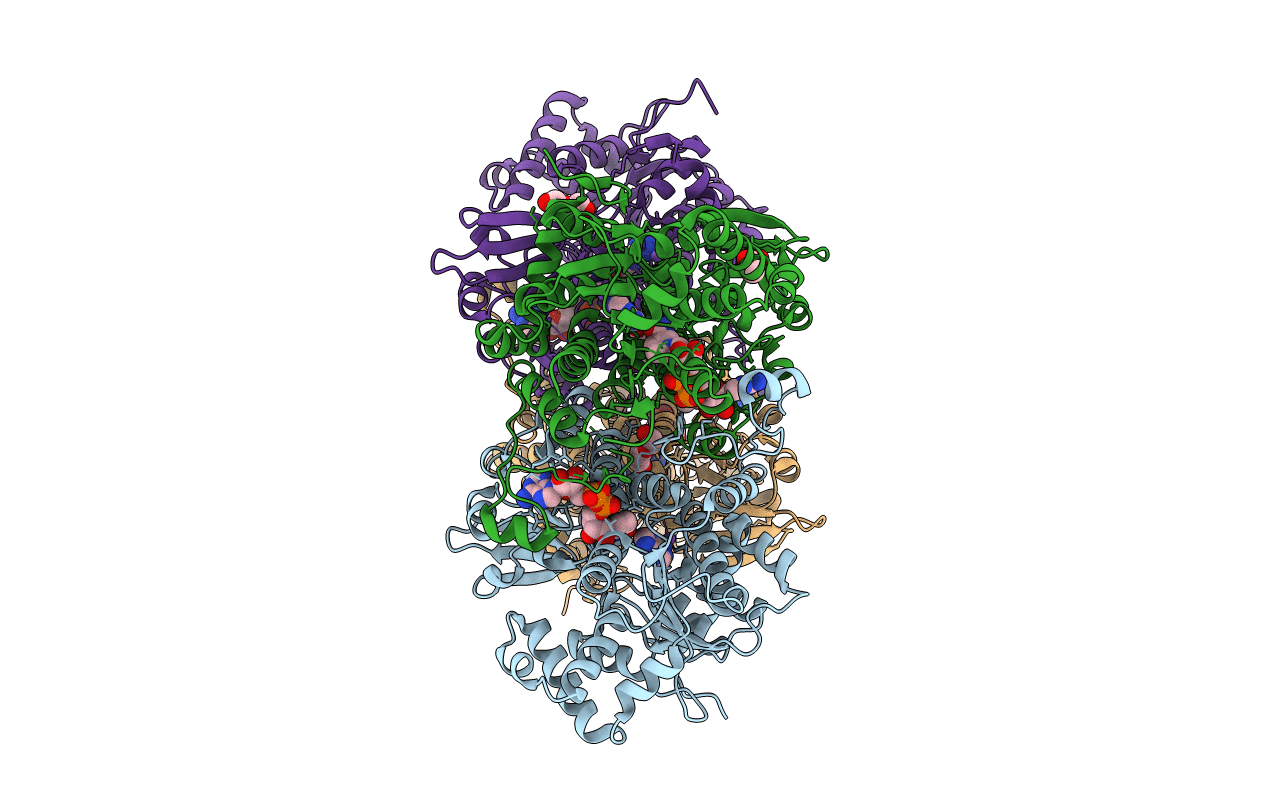 5M67 image