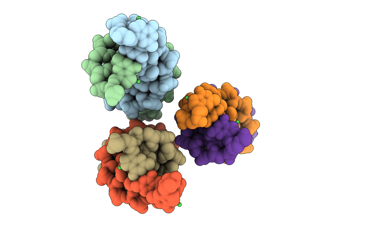 5M68 image