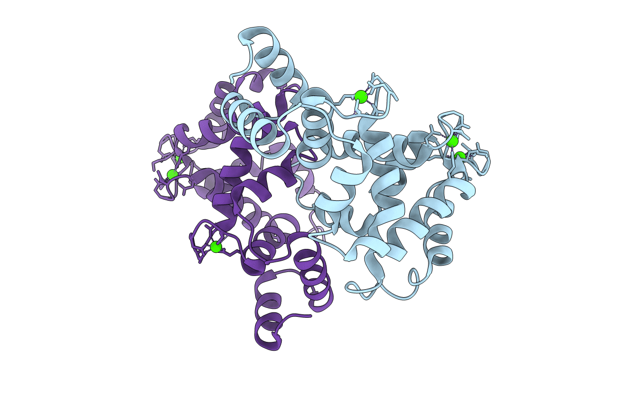5M6C image