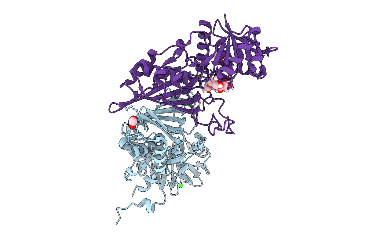 5M6D image