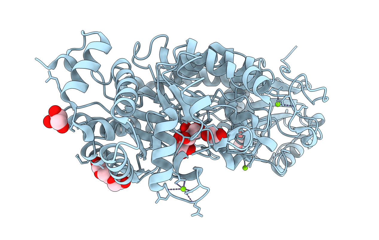 5M6G image