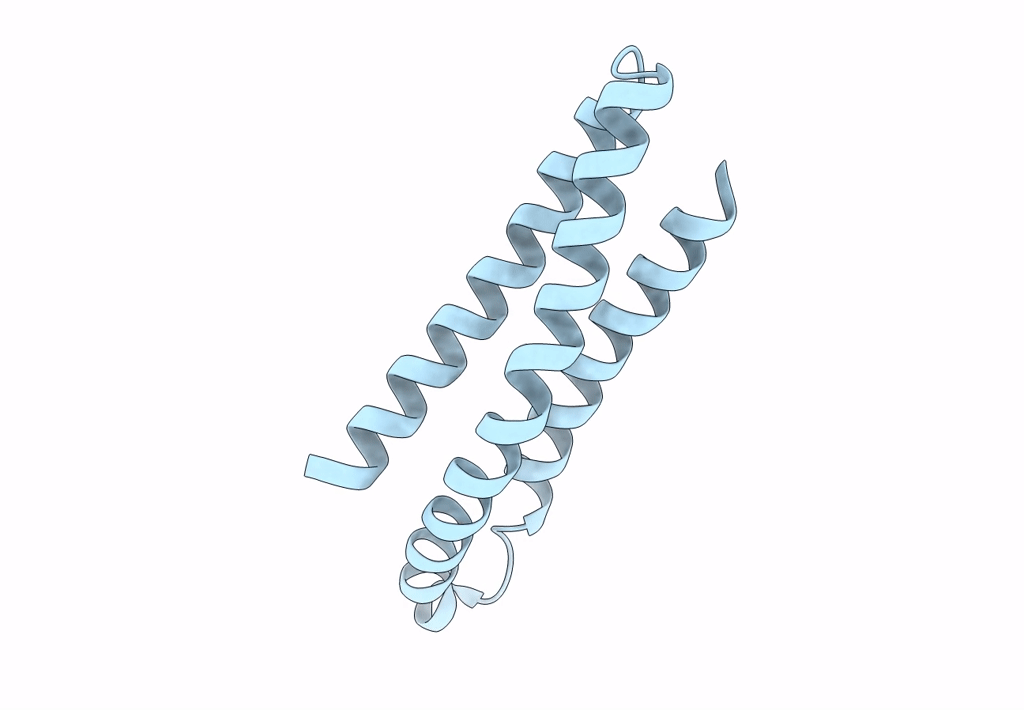 5M6S image