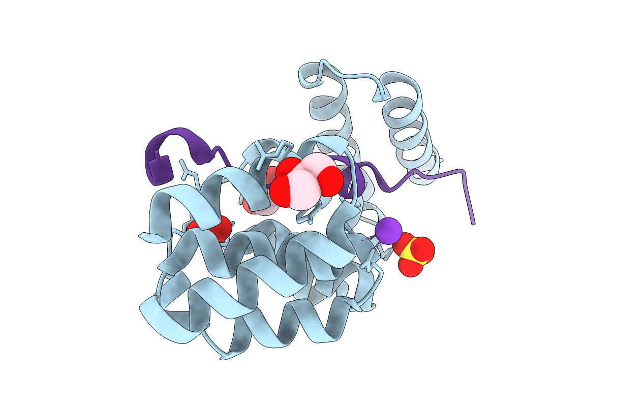 5M72 image