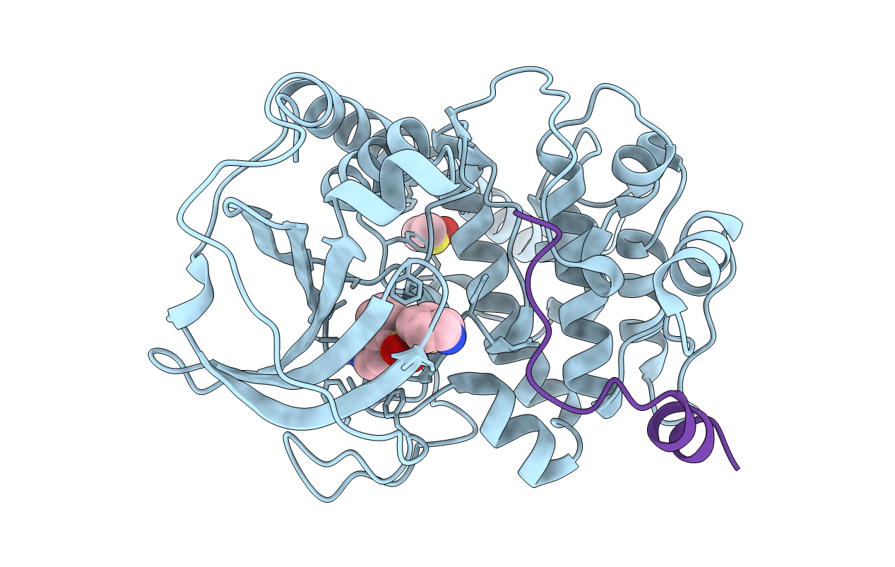 5M75 image