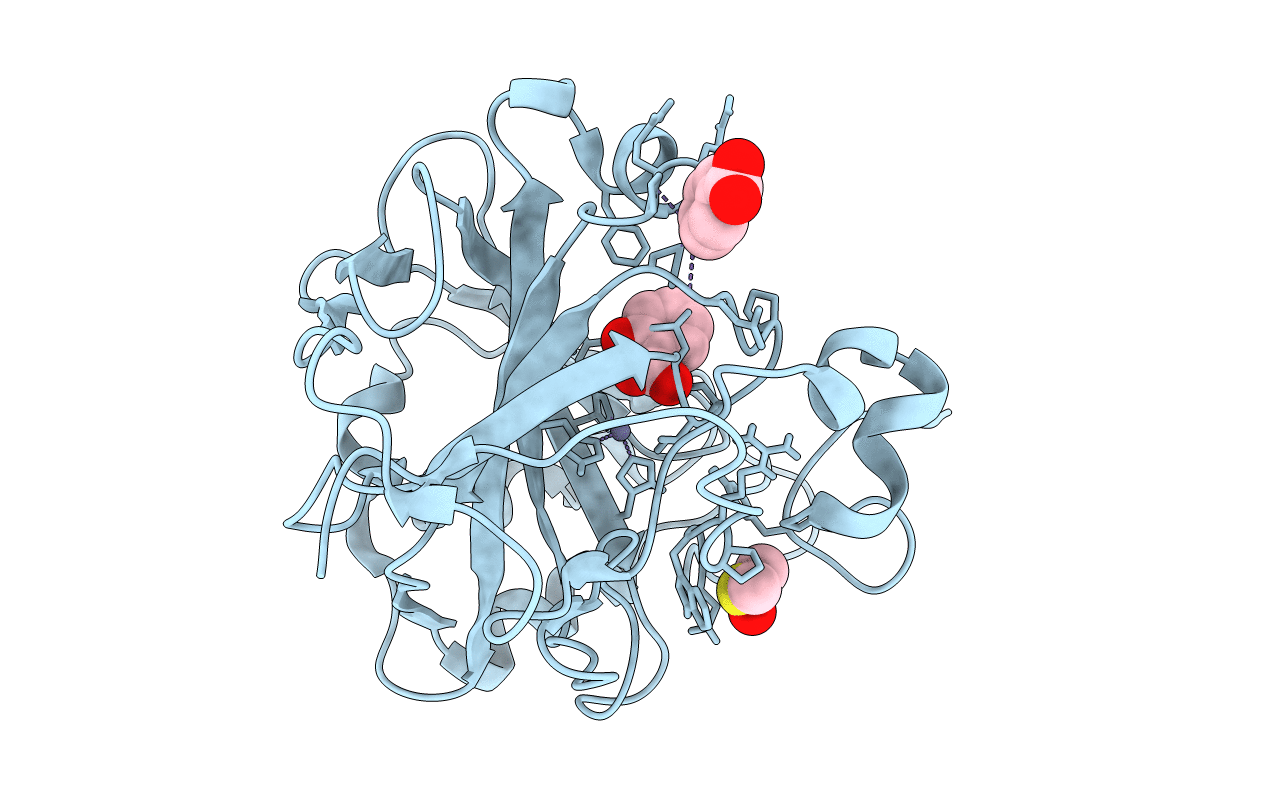 5M78 image