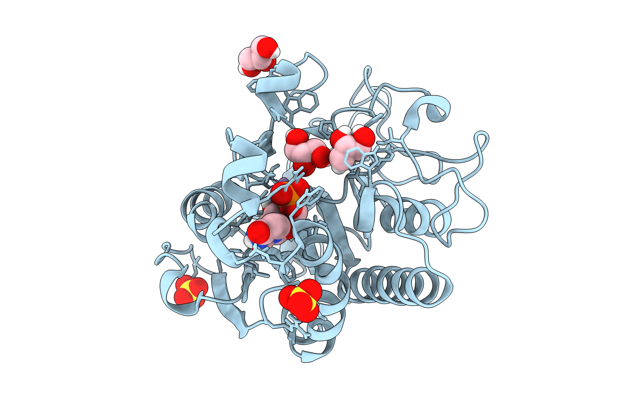 5M79 image