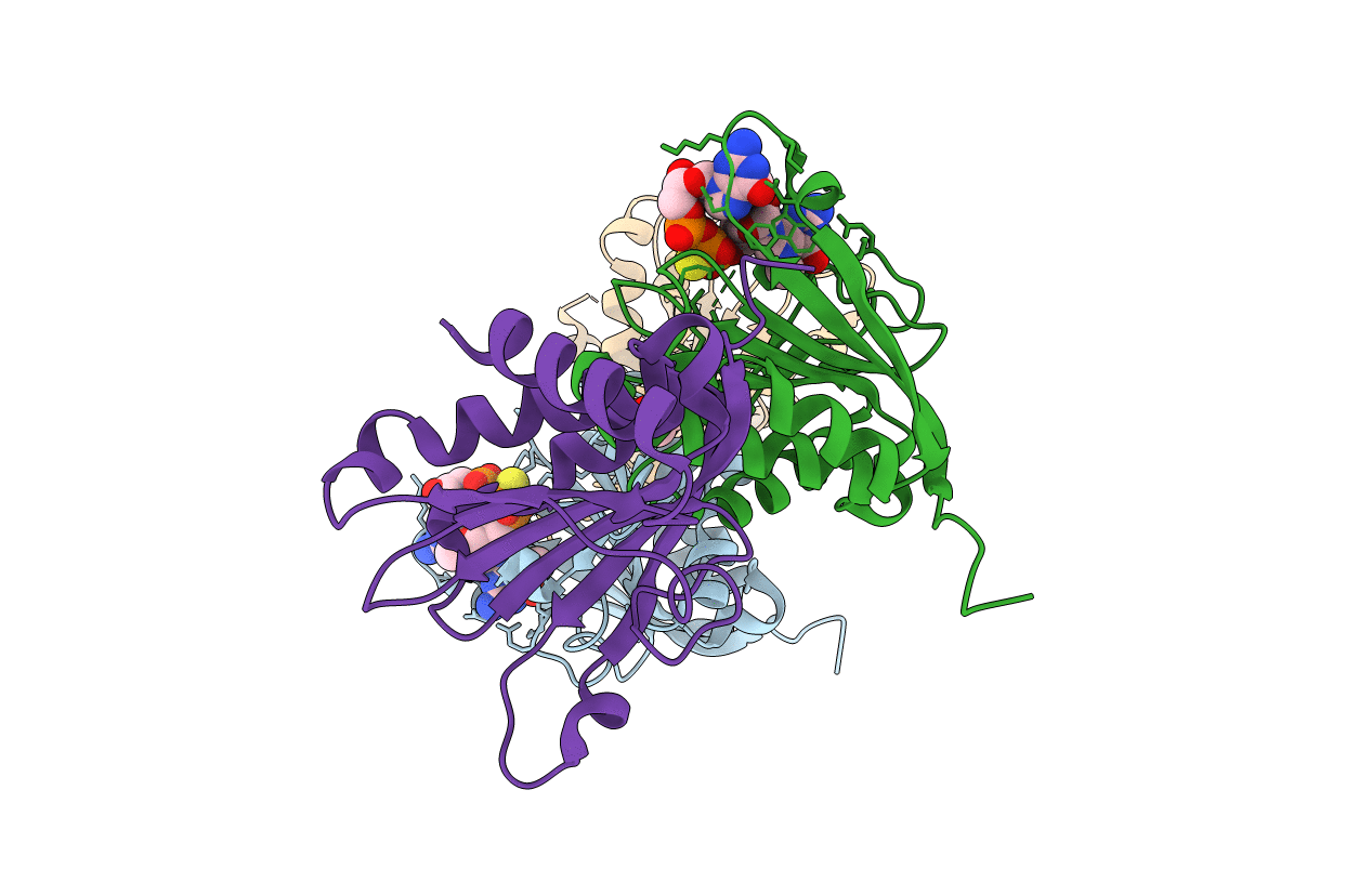 5M80 image