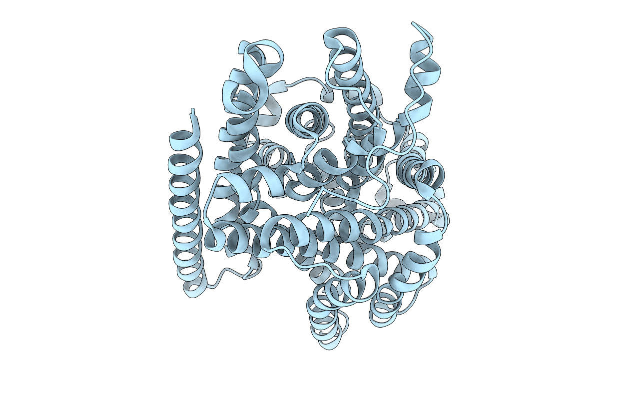 5M8A image