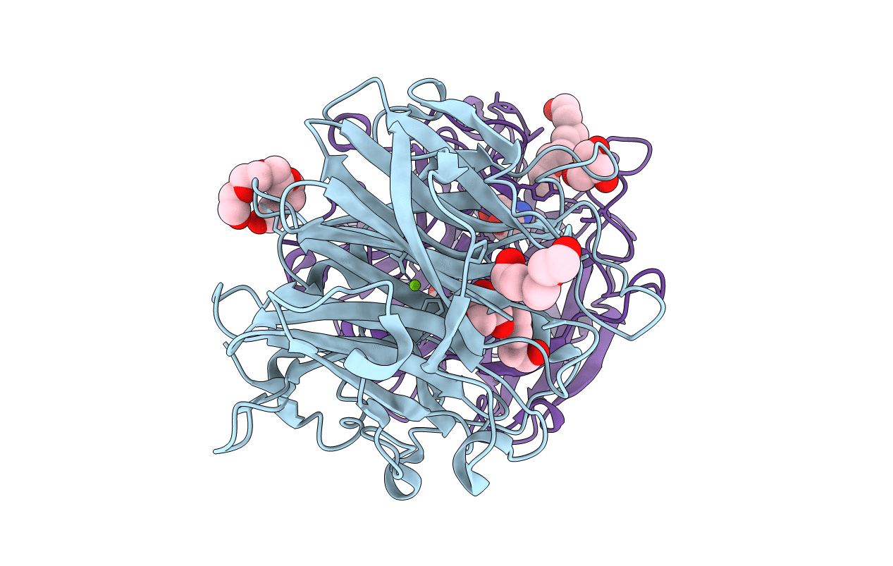 5M8B image